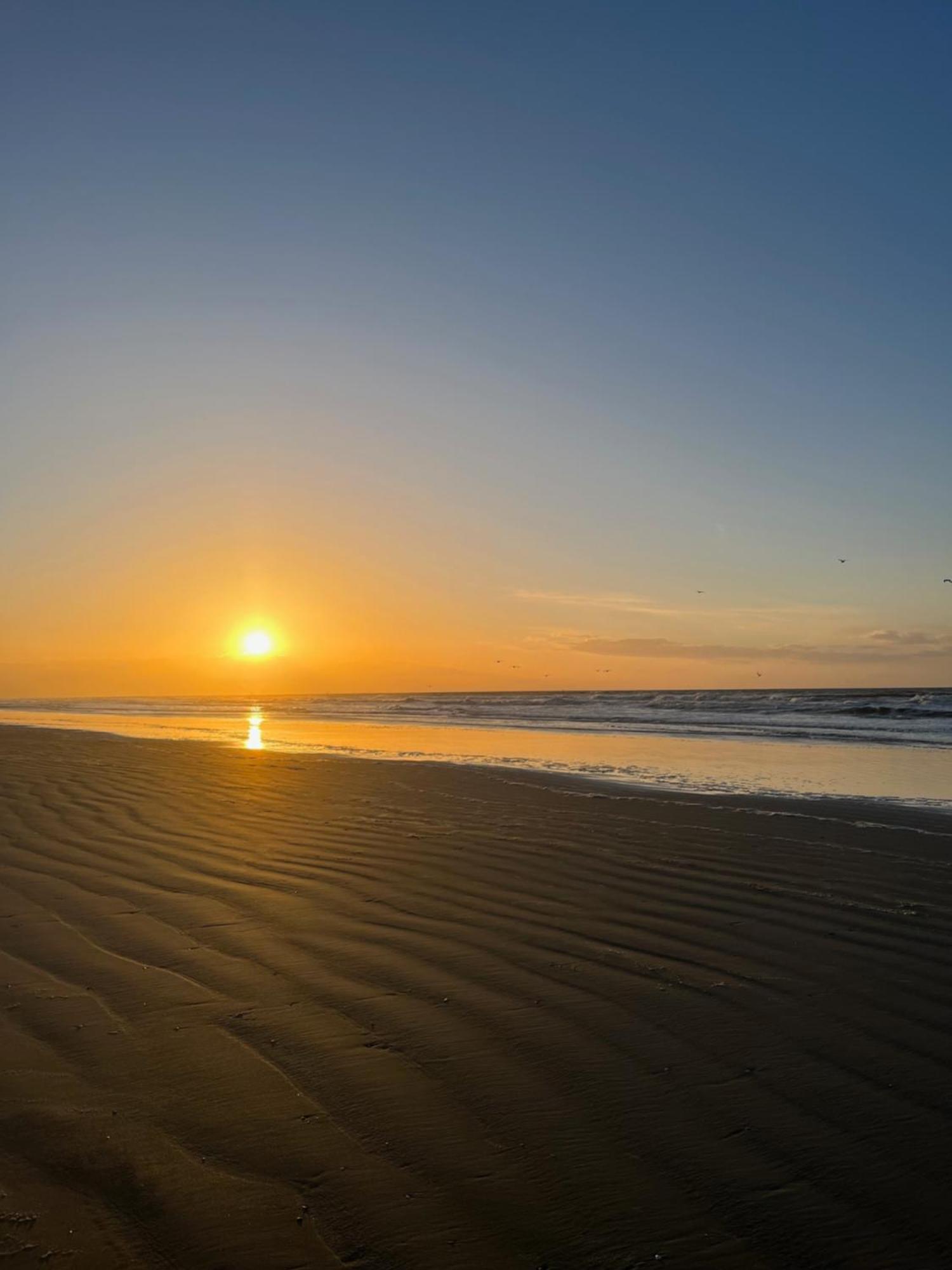Apartmán Logies La Parmentiere De Panne Exteriér fotografie