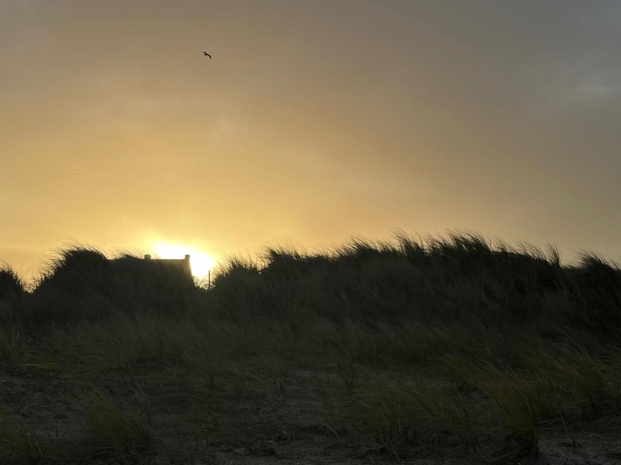 Apartmán Logies La Parmentiere De Panne Exteriér fotografie